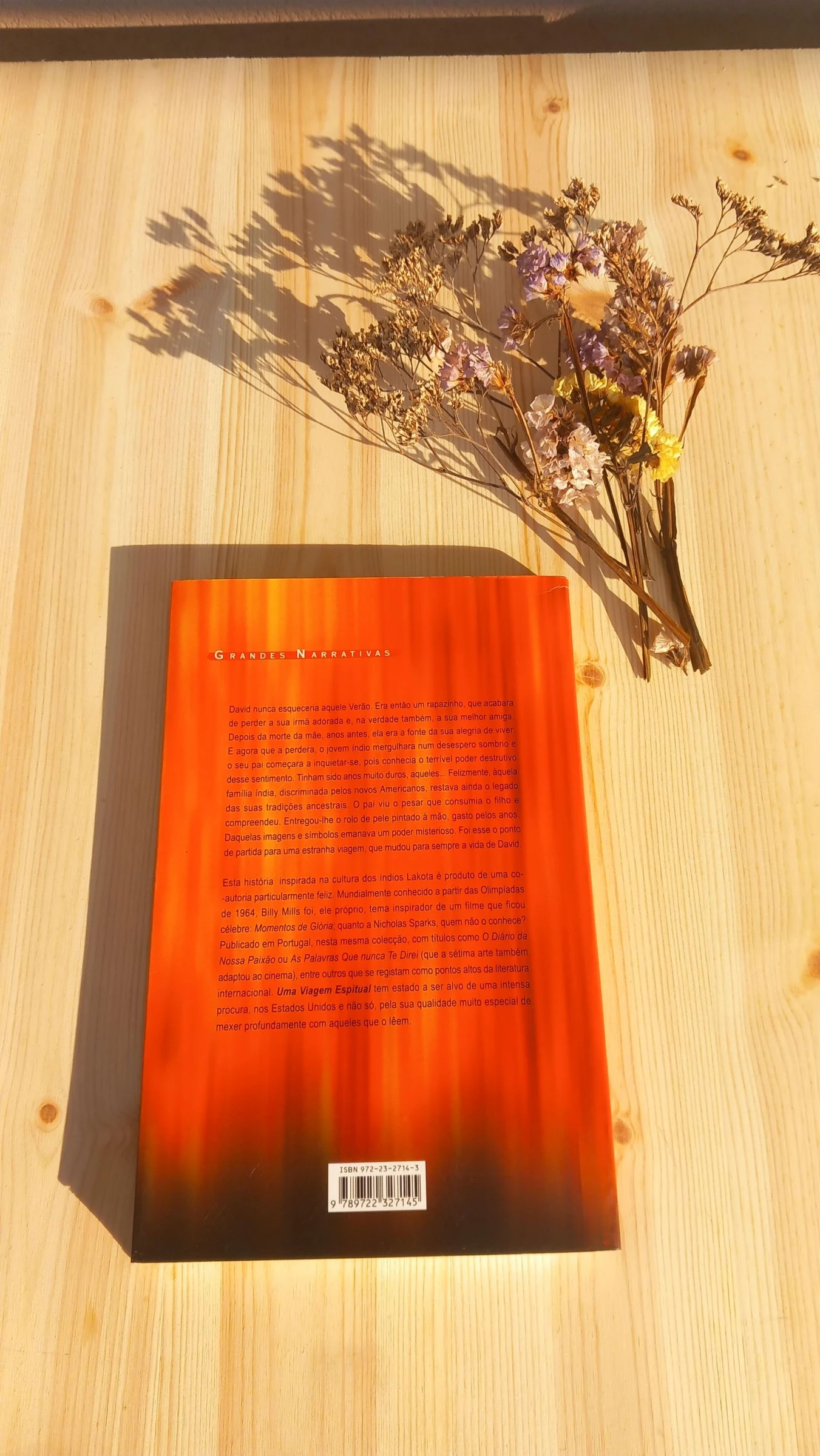 Uma viagem espiritual, Billy Mills & Nicholas Sparks – photo 2